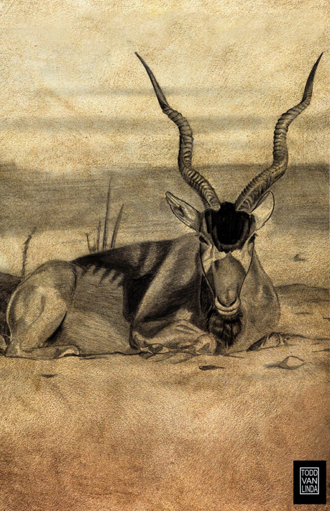 rustic collection addax